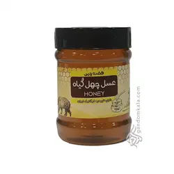 خرید عسل چهل گیاه دکتر خیراندیش (500 گرمی) | تضمین بهترین قیمت | عطاری آنلاین گندم کالا