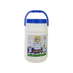 خرید ماست تازه پرچرب دبه 2000 گرمی پادراتوس - فروشگاه اینترنتی گانوکو