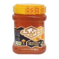 خرید عسل گون 1000 گرمی گل نیک - فروشگاه اینترنتی گانوکو