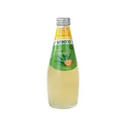 خرید نوشیدنی آلوئه ورا با طعم پرتقال 300 میلی لیتری گری - فروشگاه اینترنتی گانوکو