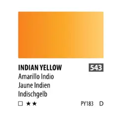 آبرنگ فوق آرتیست شین هان PWC سری D رنگ (indian yellow 543)