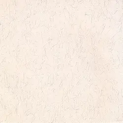 کاغذ خوشنویسی ابروباد چاپی سایز 50*35 کد(826) - بسته ۱۰ برگی