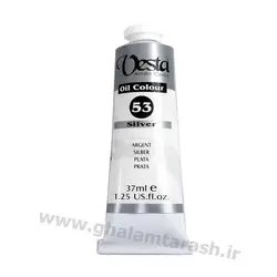 رنگ روغن وستا ۳۷ میل Silver 53