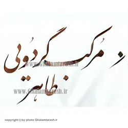 مرکب سنتی طاهر گردویی