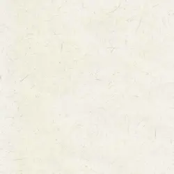 کاغذ خوشنویسی ابروباد چاپی سایز 50*35 کد (831)- بسته ۱۰ برگی