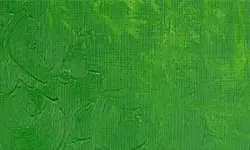 رنگ روغن وینزور اند نیوتون مدل PERMANENT GREEN LIGHT 48 حجم 37 میلی لیتر