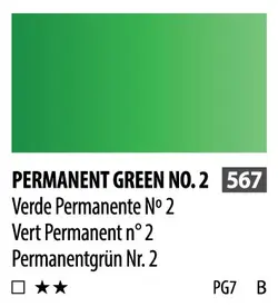 آبرنگ فوق آرتیست شین هان PWC سری B رنگ (567permanent green n .2)
