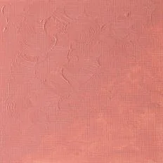 رنگ روغن وینزور مدل winton کد رنگ۲۵۷ Flesh Tint حجم۳۷ میل