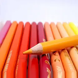 مدادرنگی آریاآرتیست 50 رنگ حرفه ای