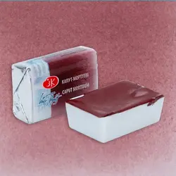 قرص آبرنگ سنت پترزبورگ کد 11604 Caput Mortuum