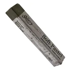 پاستل گچی گالری کد 061 (Earth green)