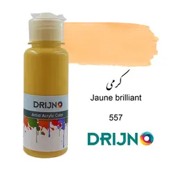 رنگ اکریلیک دریژنو کرمی مدل ARTIST حجم 120 میلی لیتر