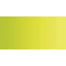 آبرنگ فوق آرتیست شین هان PWC سری B رنگ(leaf green 564)