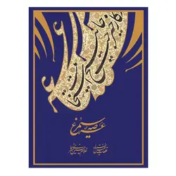 کتاب عرصه سیمرغ استاد امیرخانی