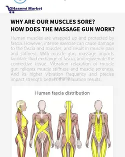 ماساژور تفنگ فاسیال ریلکس تراپی برای فرم دهی تناسب اندام