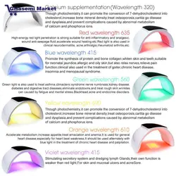 ماسک تونلی ال ای دی دیور دارای کلسیم تراپی 7 رنگ  DEVOIR