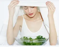 دستگاه بخور گرم رومیزی دی اس پی مدل DSP F-70011 - قاسمی مارکت