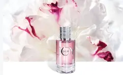 عطر ادکلن دیور جوی بای دیور - قاسمی مارکت