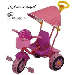 سه چرخه گارفیلد