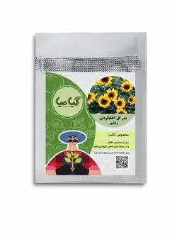بذر گل آفتابگردان زینتی گیامیا
