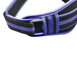 کمربند بدنسازی تایگر مدل Tiger آبی چسبی