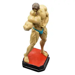 مجسمه بدنسازی مدل فیگور جلو بازو S-Color Full پلی استری