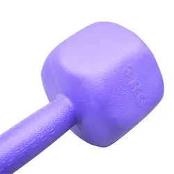 دمبل بدنسازی رادیس فیت وزن 3 کیلو گرم بسته دو عددی