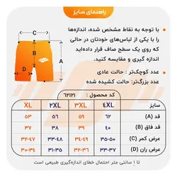 شلوارک ورزشی مردانه نایک مدل N112 طوسی روشن