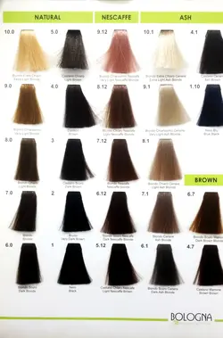 رنگ مو بدون آمونیاک و بدون پی پی دی بلونیا 100میل  Very Dark Brown 2