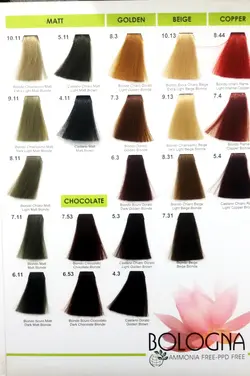 رنگ مو بدون آمونیاک و بدون پی پی دی بلونیا 100میل  Very Dark Brown 2