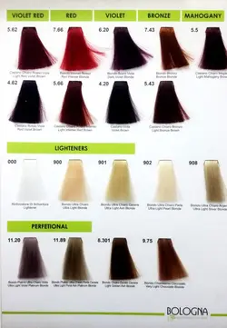 رنگ مو بدون آمونیاک و بدون پی پی دی بلونیا 100میل  Very Dark Brown 2