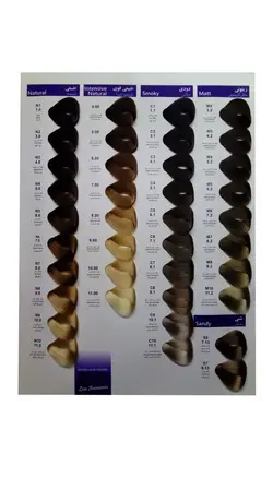 رنگ مو پیگار کراتینه دارچینی PF.12