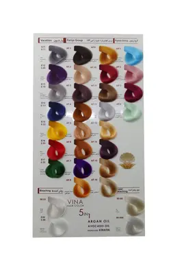 رنگ مو وینا 125میل کراتینه انگوری متوسط RV6-6.65