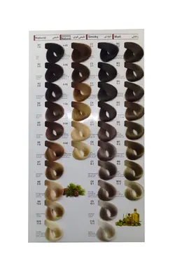 رنگ مو وینا 125میل کراتینه انگوری متوسط RV6-6.65