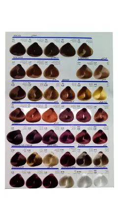 رنگ مو کراتینه جوو انگوری تیره RV4-5.65