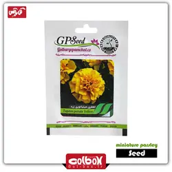 بذر گل جعفری مینیاتوری زرد‎