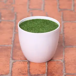 گلدان پلاستیکی مدل اسفنج خزه دار