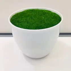 گلدان پلاستیکی مدل اسفنج خزه دار