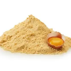 پودر زرده تخم مرغ