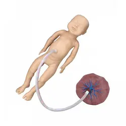 قیمت، خرید و مشخصات مولاژ جفت و جنین