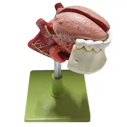 مولاژ زبان و دندان