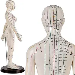 مولاژ طب سوزنی تمام تنه انسان