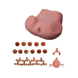 خرید، قیمت و مشخصات مولاژ مانکن معاینه زنان