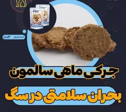 تشویقی سگ اسنک چیپس ماهی سالمون 50 گرمی برند هپ - گوپی پت شاپ