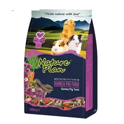 آجیل خوکچه هندی، 800 گرمی، برند نیچر پلن