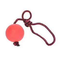 اسباب دندانی سگ توپ و طناب رها