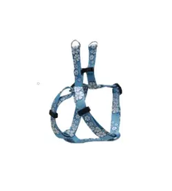 اسپیشال قلاده و لید نپتون