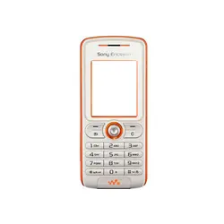 قاب و شاسی گوشی موبایل سونی اریکسون مدل W200