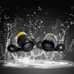 بال فرشته (انجل وینگ) با کیفیت |راهنمای جامع در مورد بال فرشته (انجل وینگ)