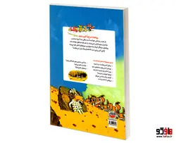 روباه ها با مرغ ها کاری ندارند نشر چکه